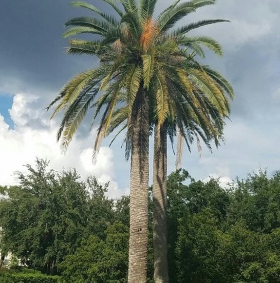 Meet your Posher, Jennifer - Picture 1 of 1